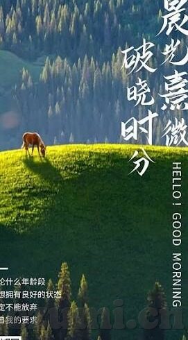 糖心app入口-关于掌握健康，远离‘糖心’——深度解密网络应用安全的警醒